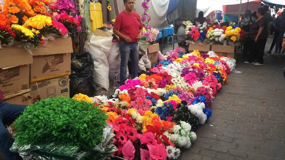 temporada de flores en Jaral 3